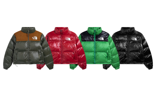 The Northface Enuptese 1996 women - Retro down jackets